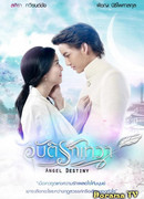 Angel Destiny