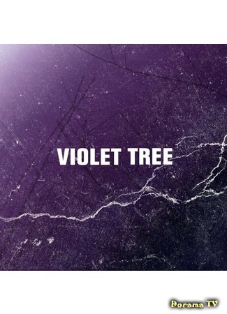 дорама Violet Tree 2016 CIS Tour Documentary 28.09.16
