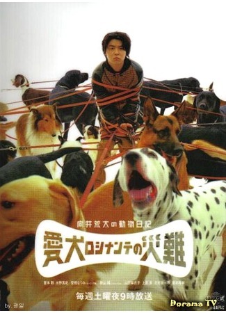 дорама Mukai Arata&#39;s Animal Diary: The Disaster of My Dog Rosinante (Злоключения Росинанта, моей любимой собаки: Mukai Arata no Dobutsu Nikki ~Aiken Rosinante no Sainan~) 03.10.16