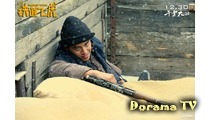 Railroad Tigers