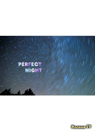 Переводчик ФСМ Perfect Night 27.10.16