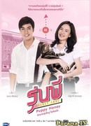 Senior Secret Love: Puppy Honey