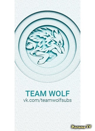 Переводчик Team Wolf 23.01.17