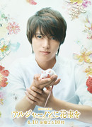 Flowers for Algernon