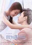 Because of You (2017)