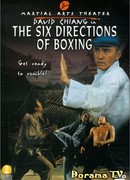 The Six Directions of Boxing