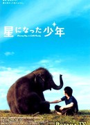 Shining Boy & Little Randy