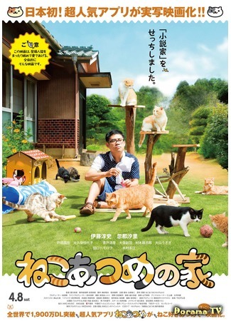 дорама Cat Collection&#39;s House (Дом кошек: Neko Atsume no Ie) 23.04.17