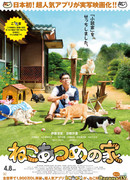 Cat Collection's House