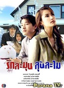 Sweet Love and Romance