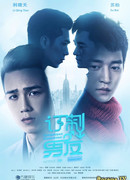 Customized Companion