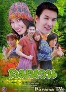 Twist Wind, Backed Wind