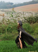 Fortuneteller’s Secret Recipe