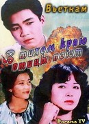 Noi binh yen chim hot