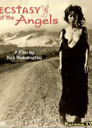 Ecstasy of the Angels