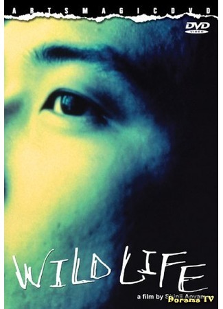 дорама Wild Life (1997) (Дикая жизнь: ワイルドライフ) 17.07.17