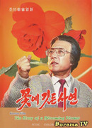 The Story of a Blooming Flower