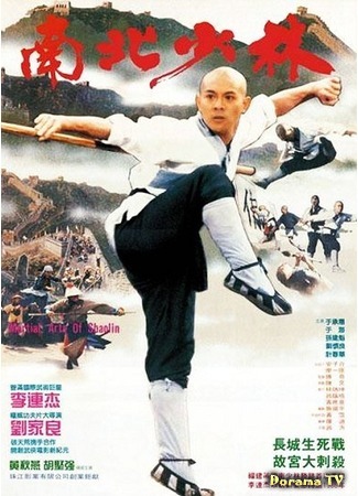 дорама The Shaolin Temple 3: Martial Arts of Shaolin (Храм Шаолинь 3: Боевые искусства Шаолиня: Nan bei Shao Lin) 27.07.17