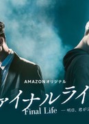 Final Life: Even If You Disappear Tomorrow