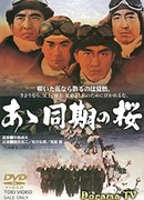 The Diaries of Kamikaze