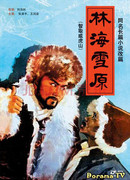 Tracks in the Snowy Forest