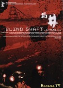 Blind Shaft
