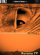 Pitfall