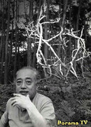 Sculptures by Sofu - Vita