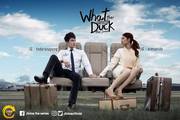 What The Duck The Series