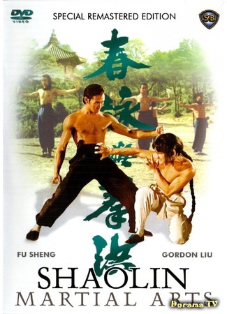 дорама Shao Lin Martial Arts (Боевые искусства Шаолиня: Hong quan yu yong chun) 25.10.17