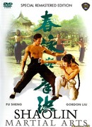 Shao Lin Martial Arts
