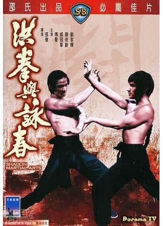 дорама Shao Lin Martial Arts (Боевые искусства Шаолиня: Hong quan yu yong chun) 27.10.17