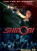 Shinobi: The Law of Shinobi