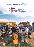 Youth Over Flowers in Australia
