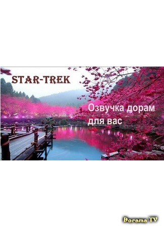 Переводчик STAR-TREK 13.11.17