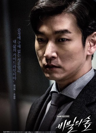 Юридические профессии 21.11.17