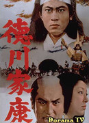 Lord Tokugawa Ieyasu