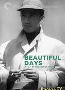 Beautiful days (1955)