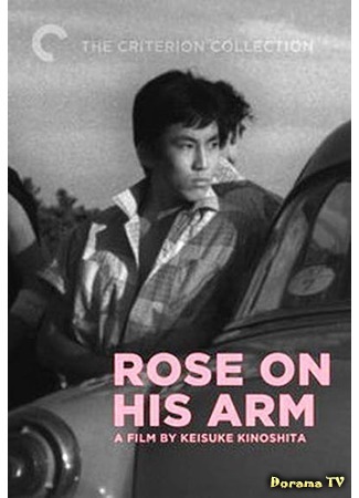 дорама The Rose on His Arm (Роза на его руке: Taiyo to bara) 02.12.17