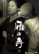 The Temple of the Wild Geese