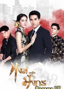 The Swan Over Dragon