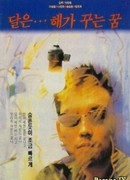 The Moon Is... the Sun's Dream