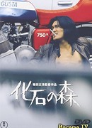 The Pertifiled Forest