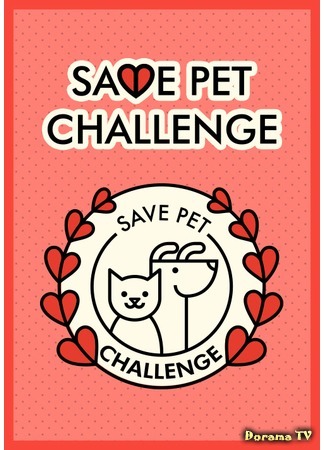дорама Save Pet Challenge (세이브 펫 챌린지) 08.02.18