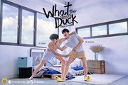 What The Duck The Series