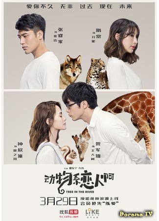 дорама Animal Type Lovers (Зоология любви: Dong wu xi lian ren a) 26.04.18