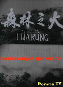 Lửa rừng