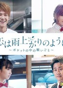 Love is Like After the Rain: Wish in a Pocket