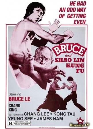 дорама Bruce And Shaolin Kung Fu (Брюс и кунг-фу монастыря Шао-Линь: Da mo tie zhi gong) 24.06.18