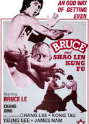 Bruce And Shaolin Kung Fu